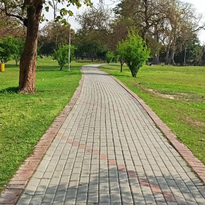 Walking and Jogging Trails